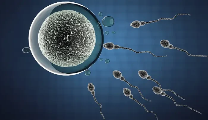نسبة نجاح اطفال الانابيب